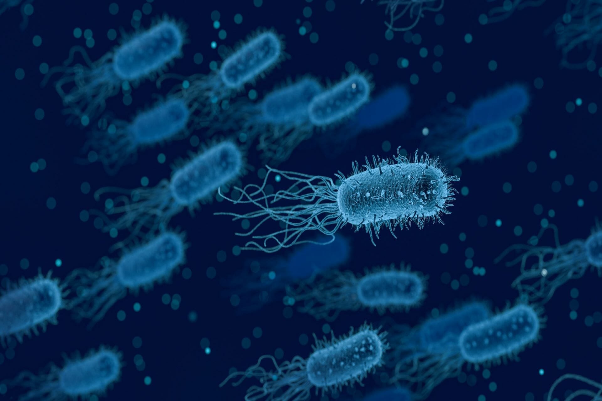 Feature image updated-hotel-cancellation-policies-during-coronavirus-outbreak
