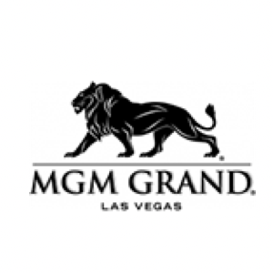 MGM Rewards guide