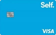 self visa credit card