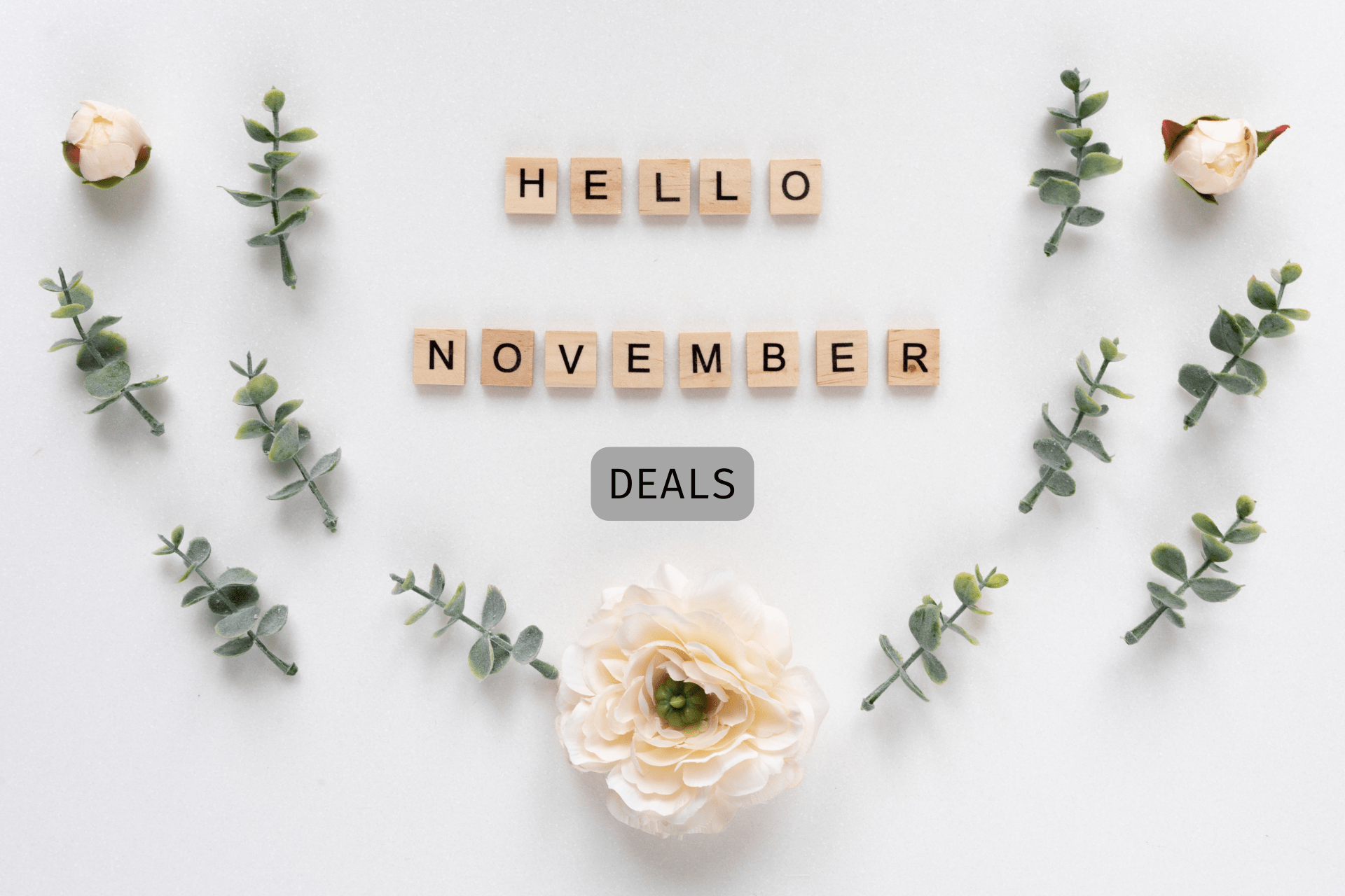 The Best Online Deals of November 2022