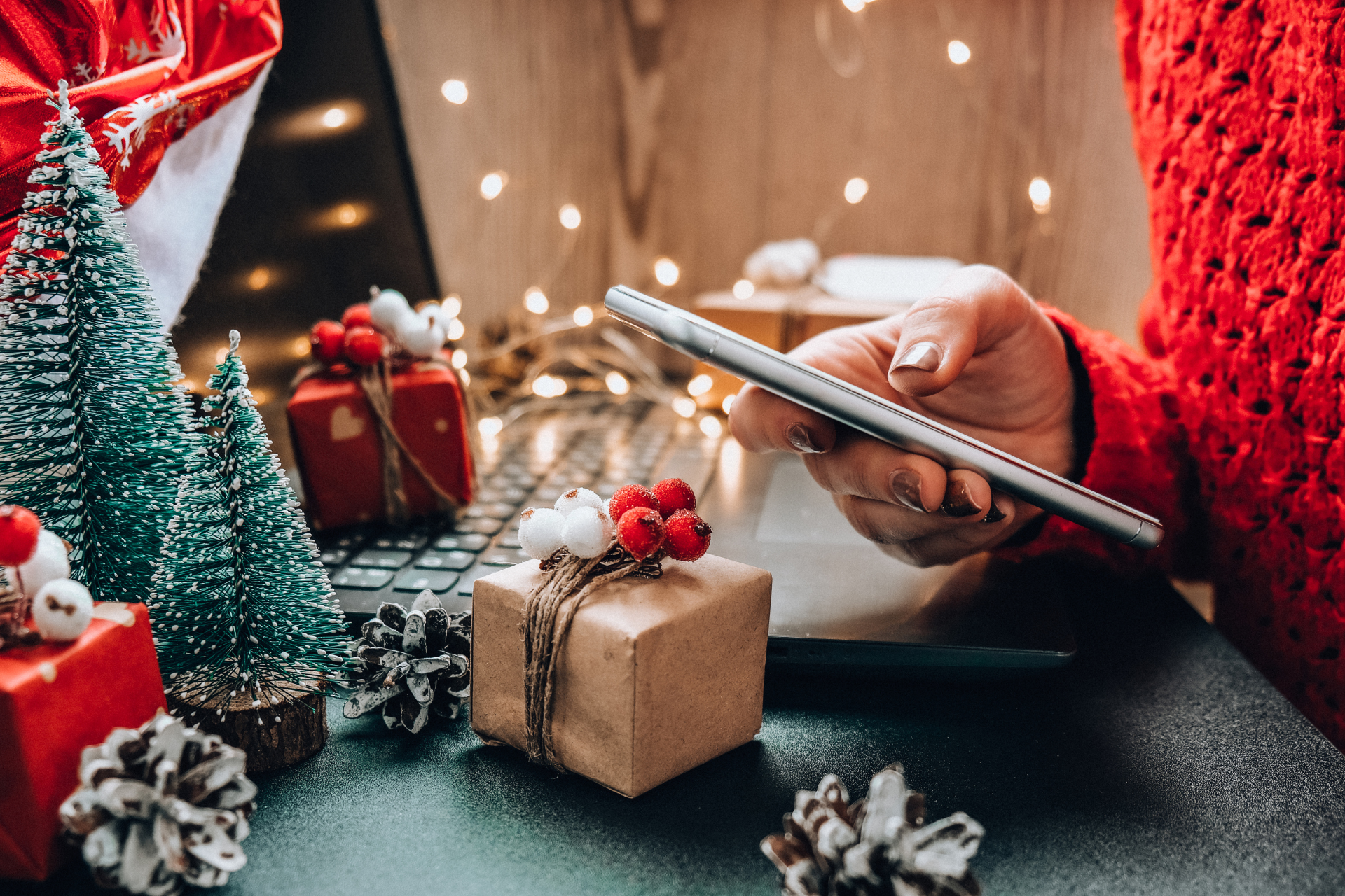 Cybersecurity Tips for Online Holiday Shopping