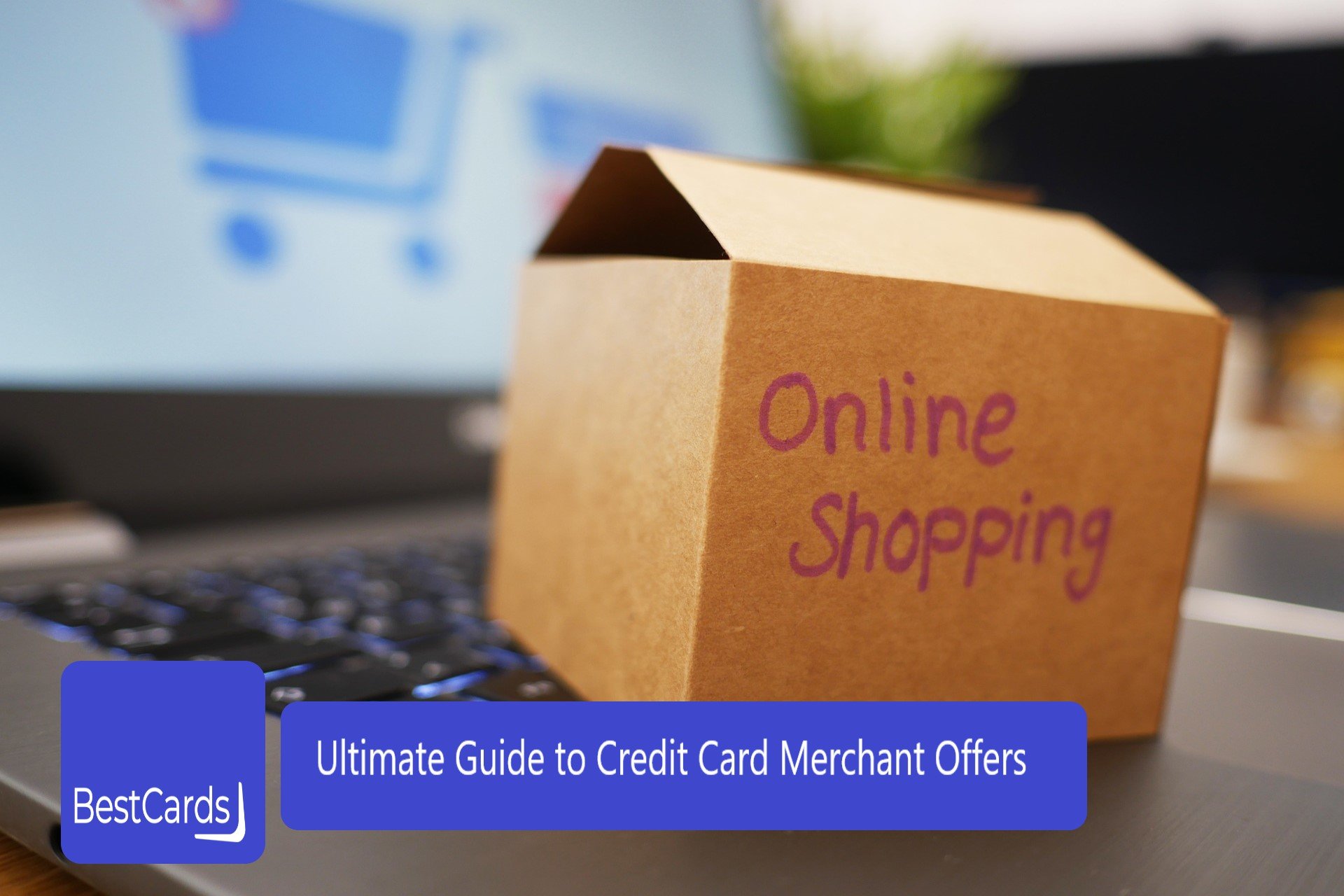 bank and credit card merchant offers and deals guide